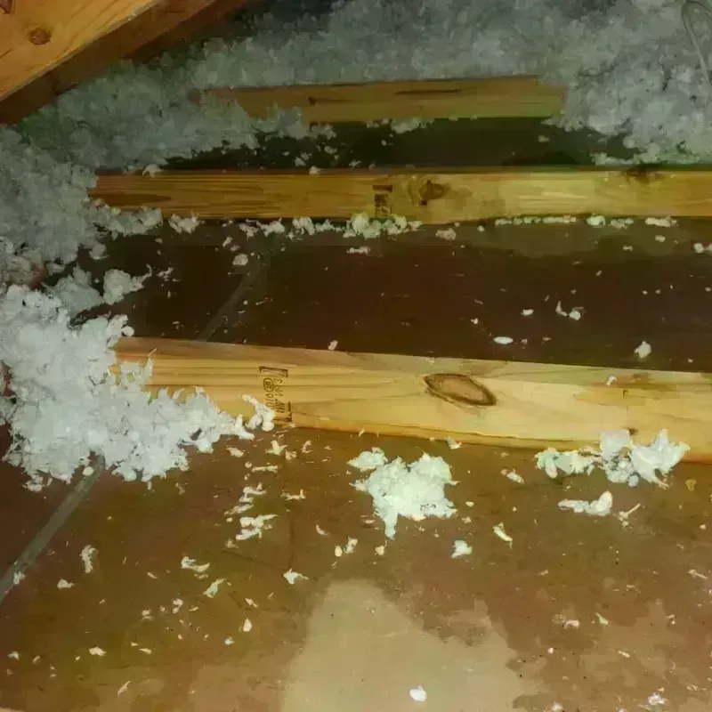 Attic Water Damage in East Quincy, CA